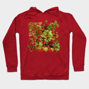 Crispy  Red Berries from Lugano (Centovalli Edition) Hoodie